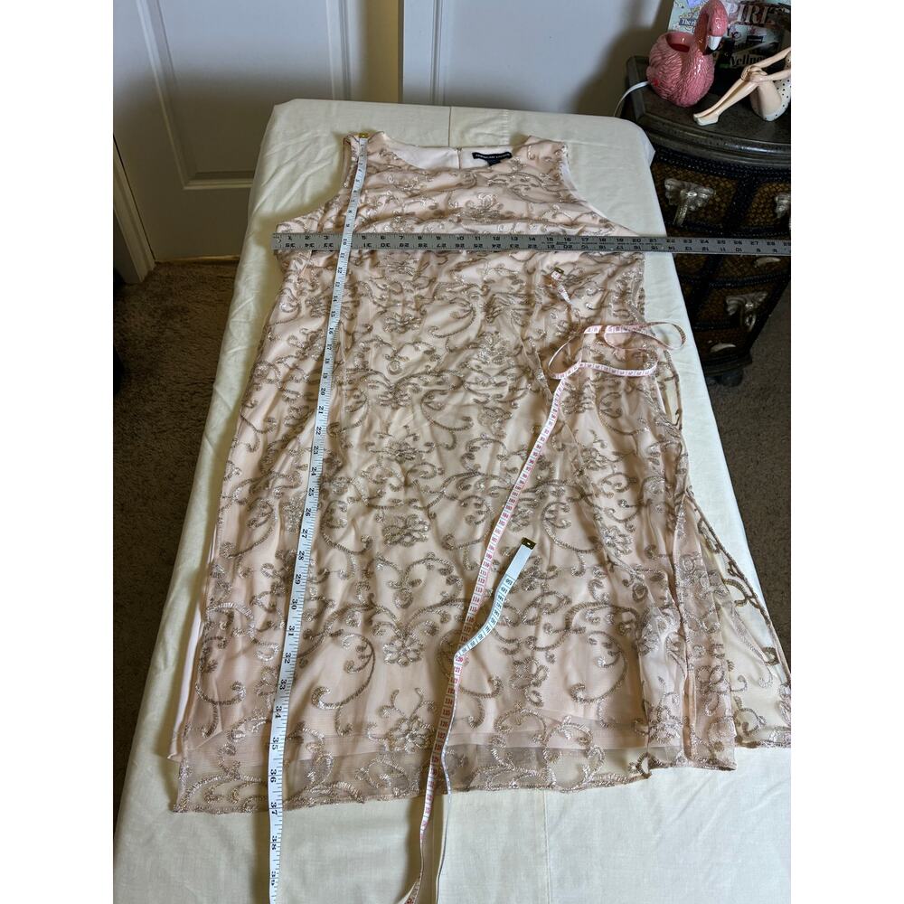 American Living Dress Womens 16 Blush Pink Embroidered Overlay Sleeveless Formal